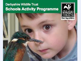 DerbyshireWildlifeTrustSchoolsactivityprograme