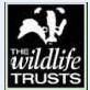 DerbyshireWildlifeTrustGrab